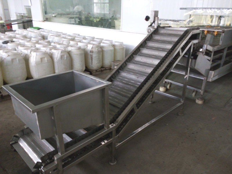 黑豆提升機(jī)