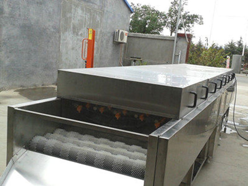 牡蠣噴淋毛輥清洗機(jī)