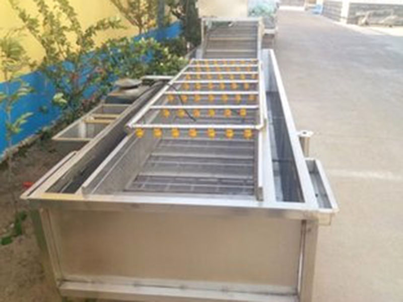 辣椒氣泡清洗機(jī)